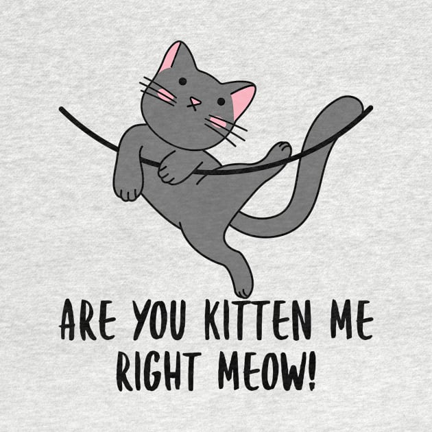 Are You Kitten Me Right Meow by PorcupineTees